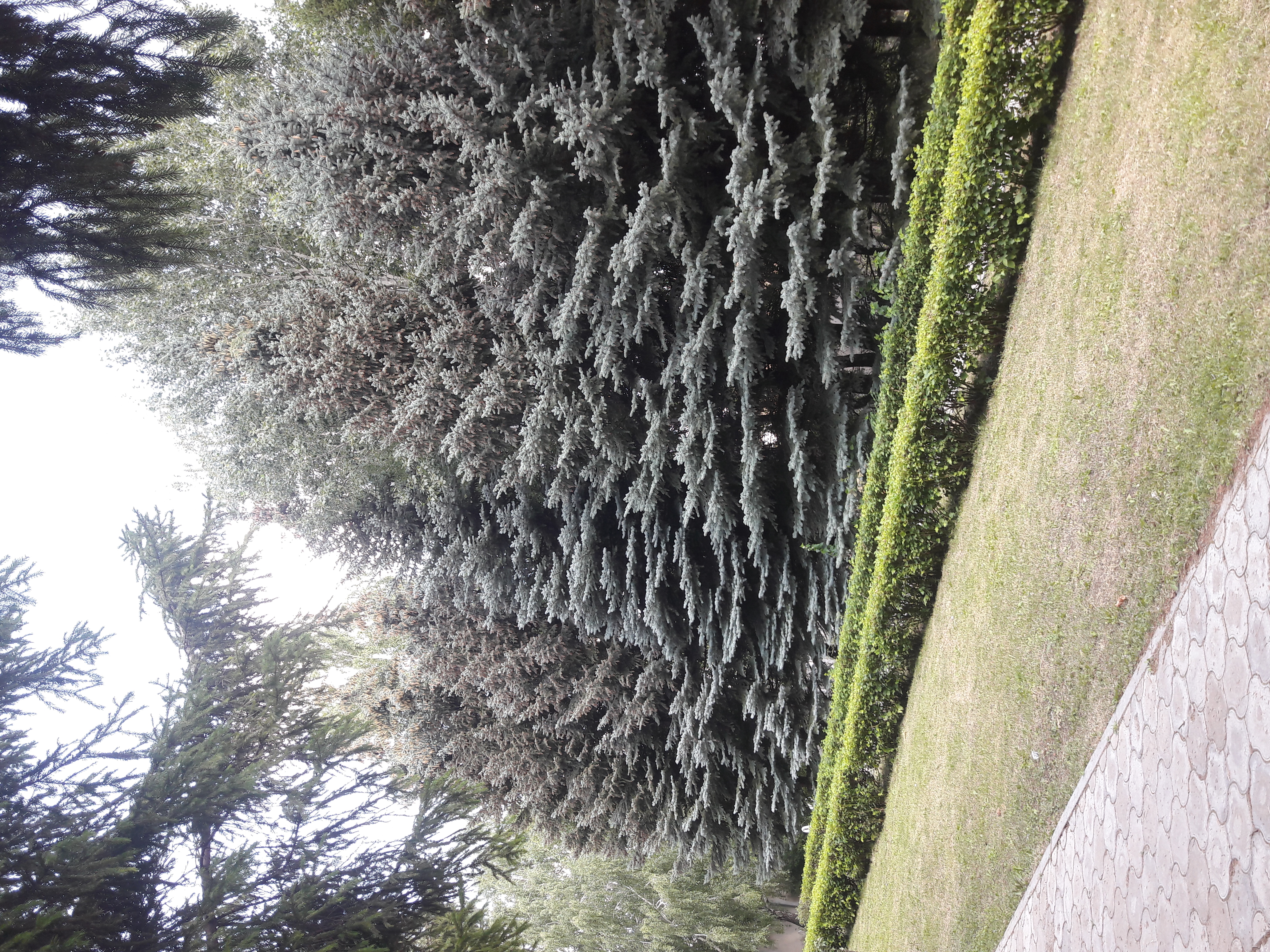 Фото Голубое озеро