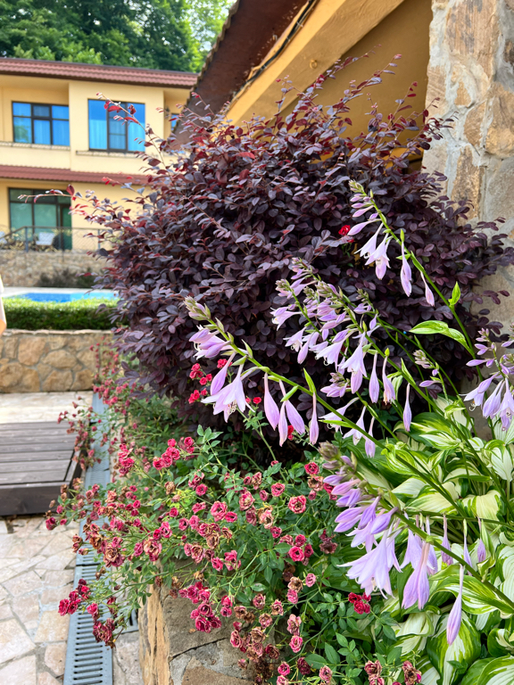 Фото Spatium Wellness Center