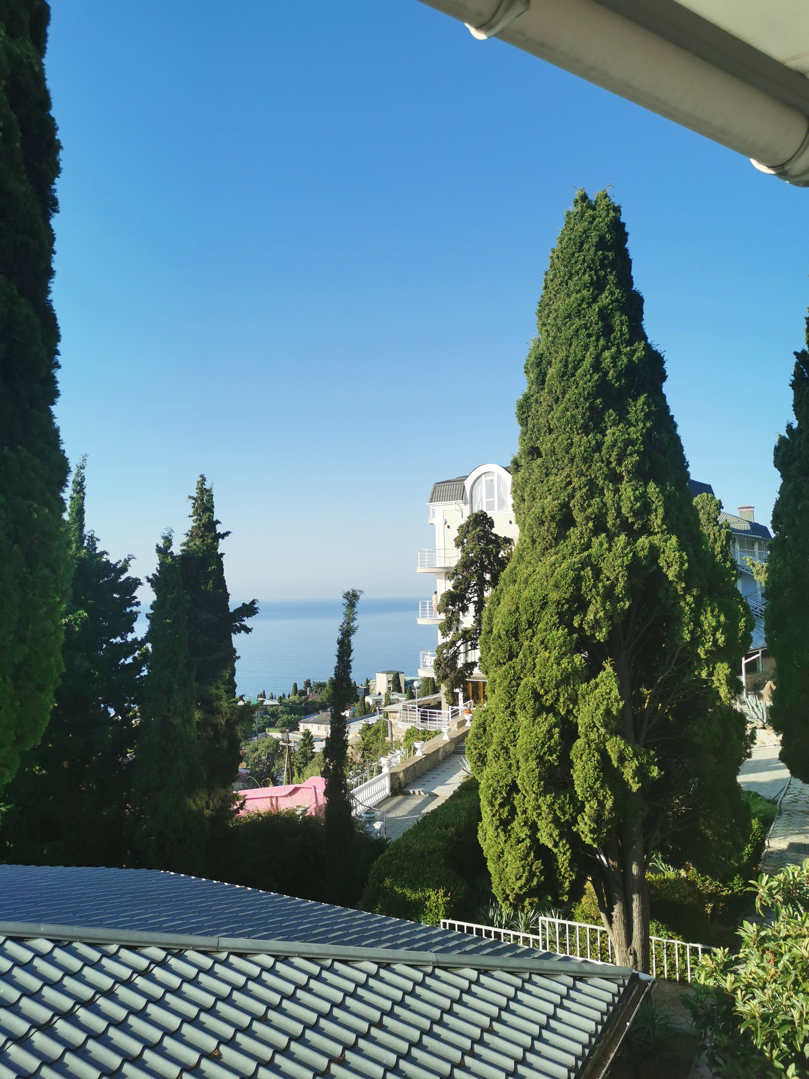 Фото Алубика