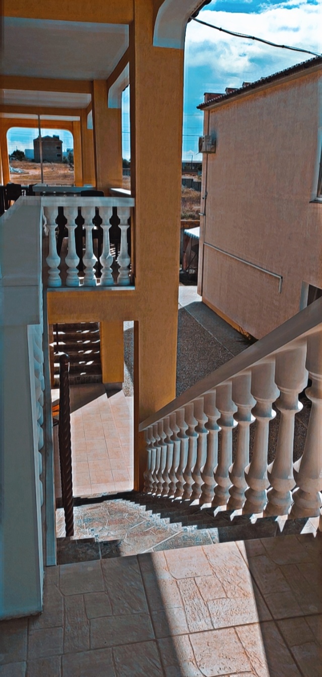 Фото Клевер