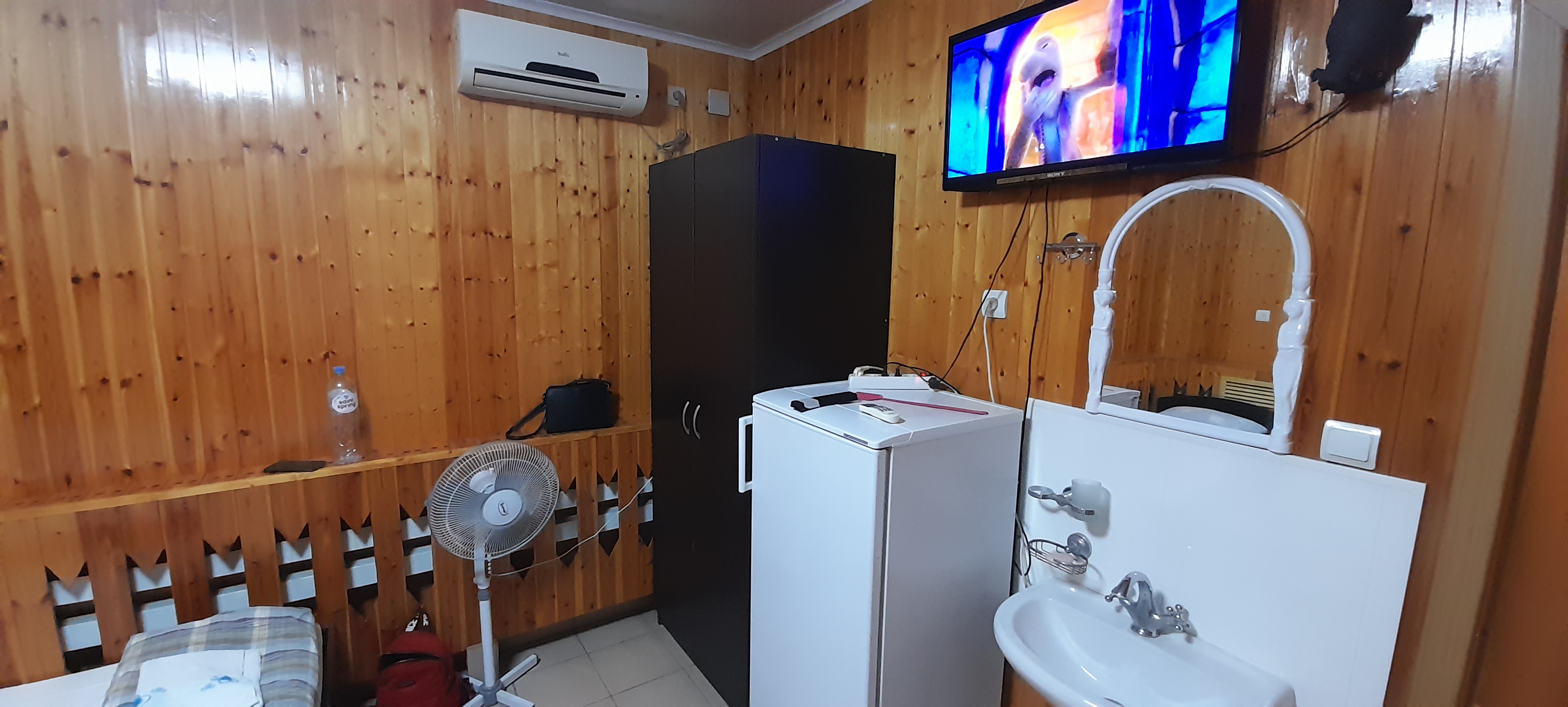 Фото Спутник