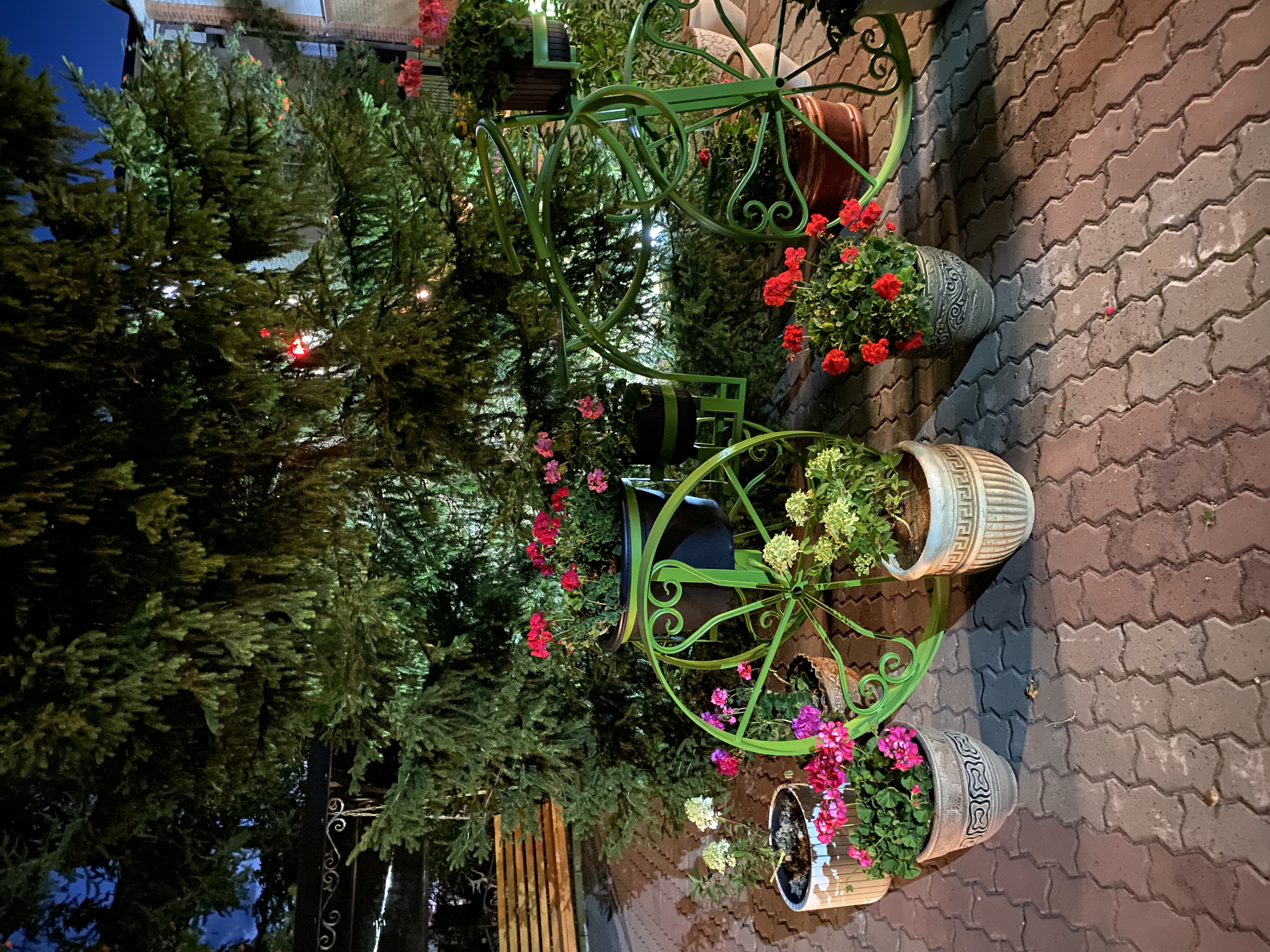 Фото Бегущая по волнам