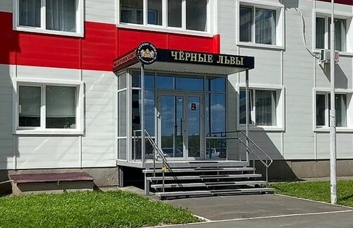Черные львы ул рощина 3 фото