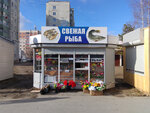 Свежая рыба (7A Microdistrict, 12), plantas y flores artificiales