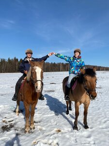 Иппоклуб Берегиня (Московская область, городской округ Чехов, деревня Прохорово), конный клуб в Москве и Московской области