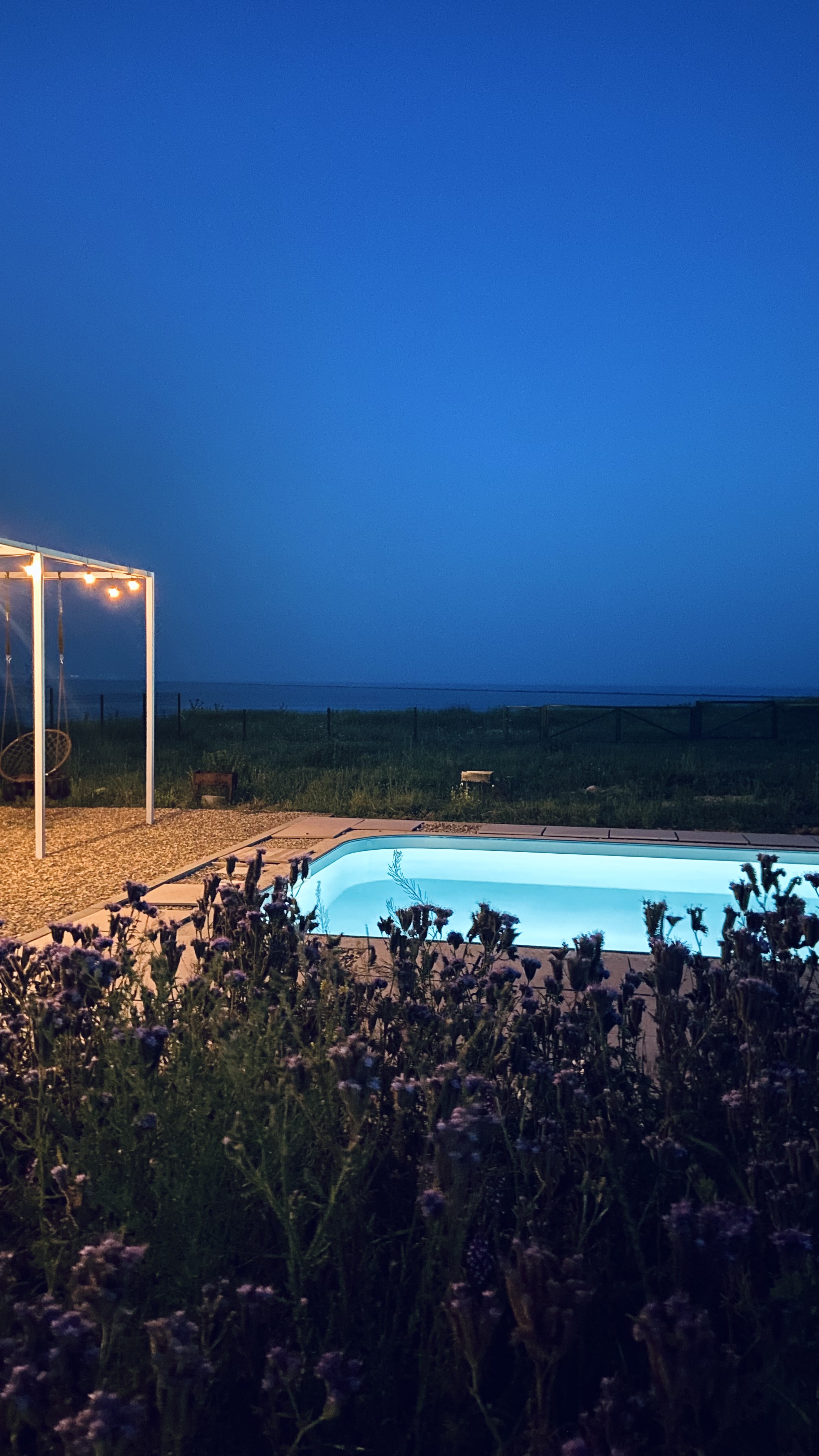 Фото Villa Surf Dacha