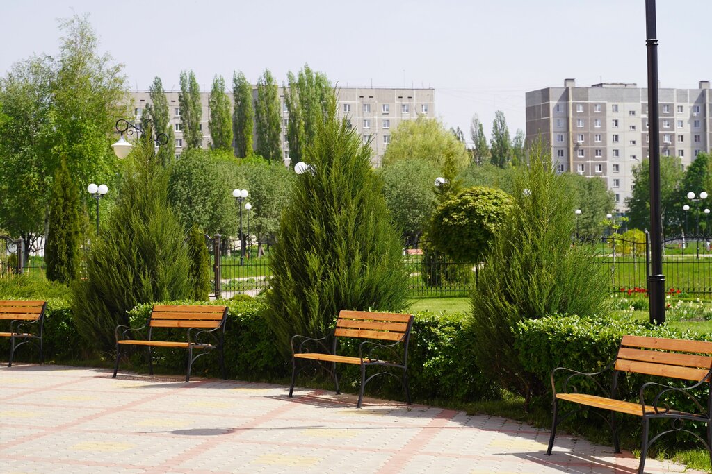 Bench Bench, Kurchatov, photo