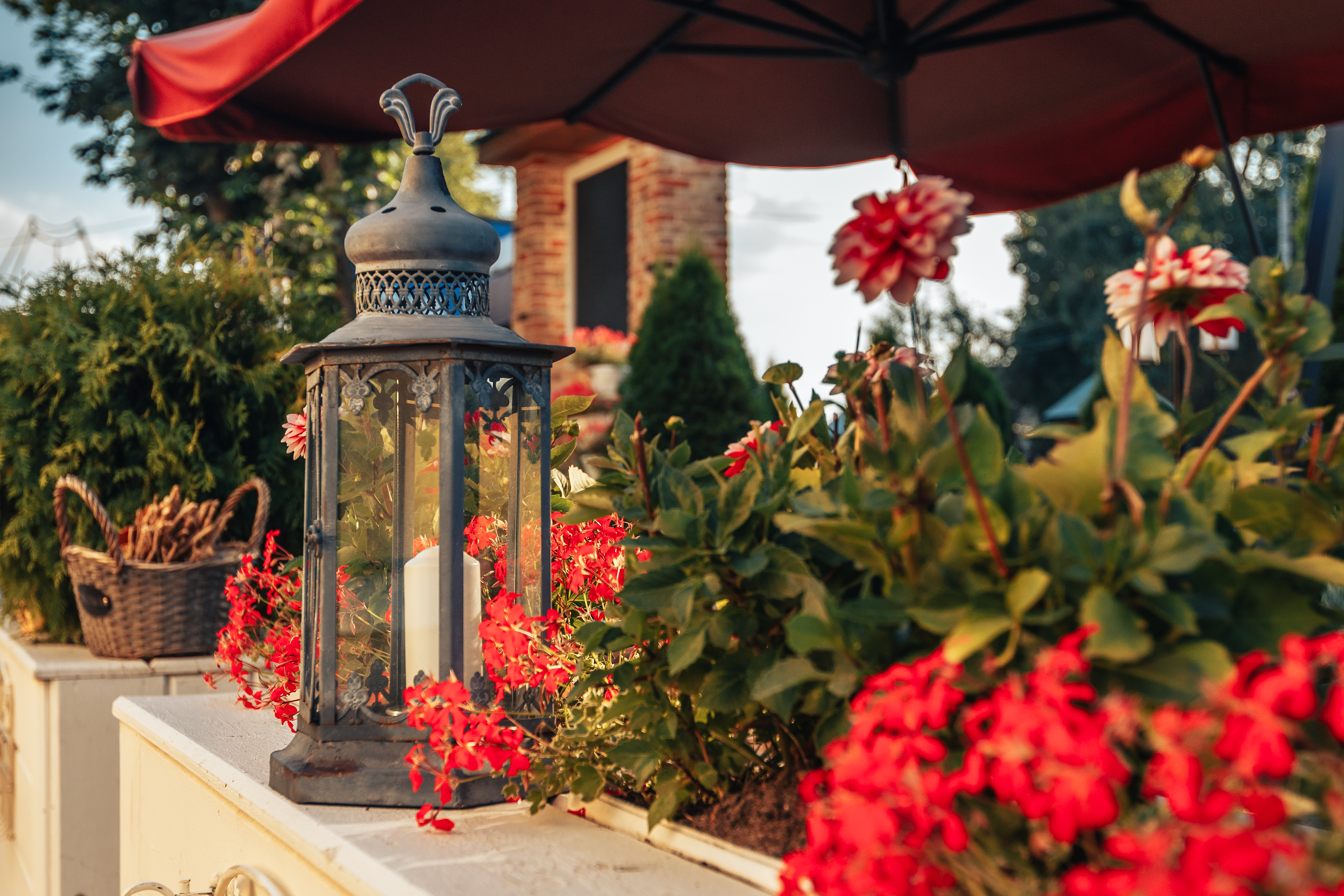 Фото Альбицкий сад