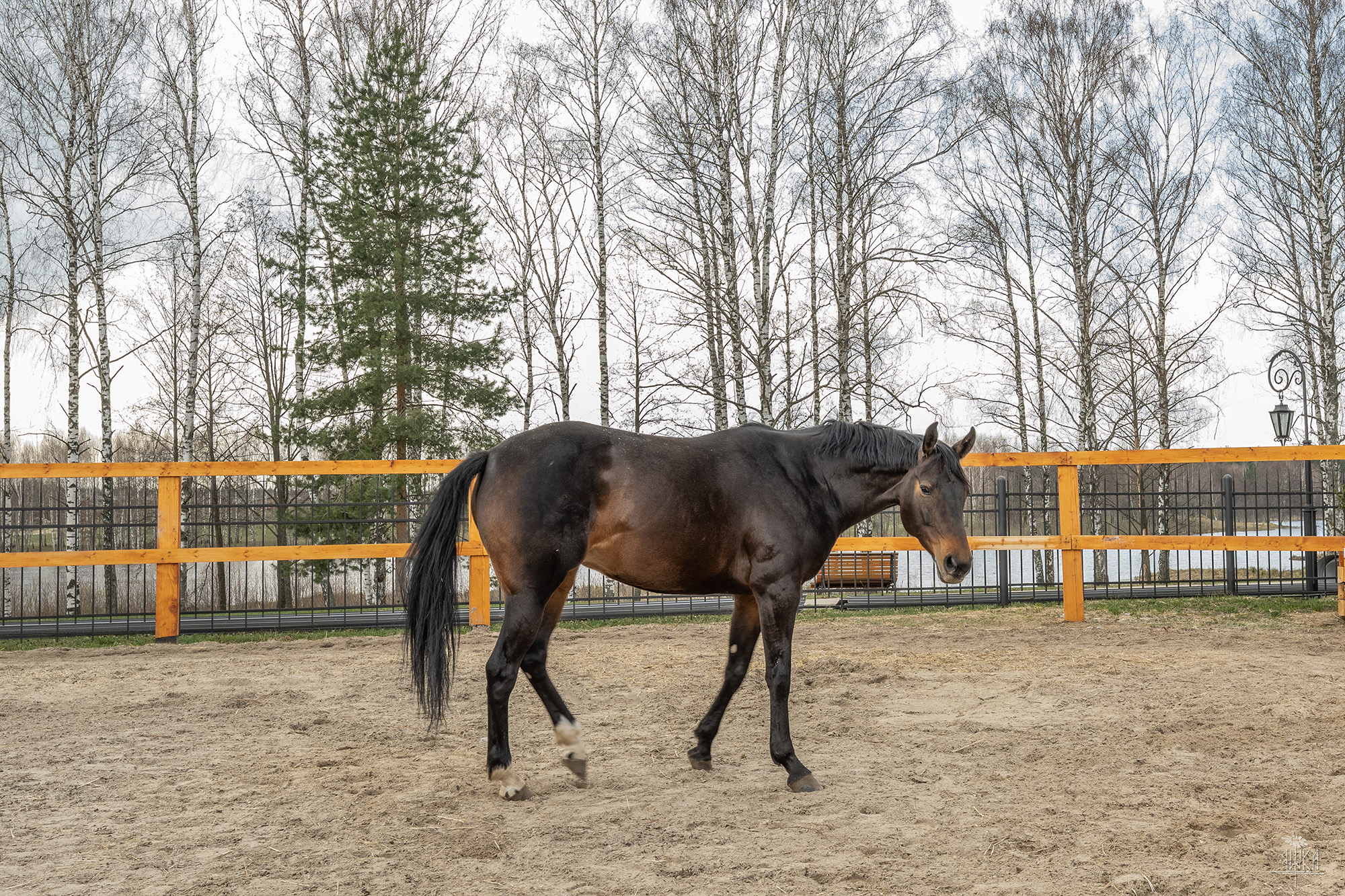 Фото Николо-поле