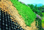 GeOMasters Team (Almagúl shaǵyn aýdany, 39), building materials wholesale