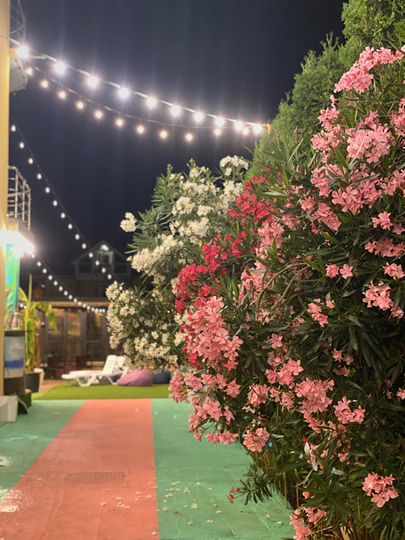 Фото Скайфом