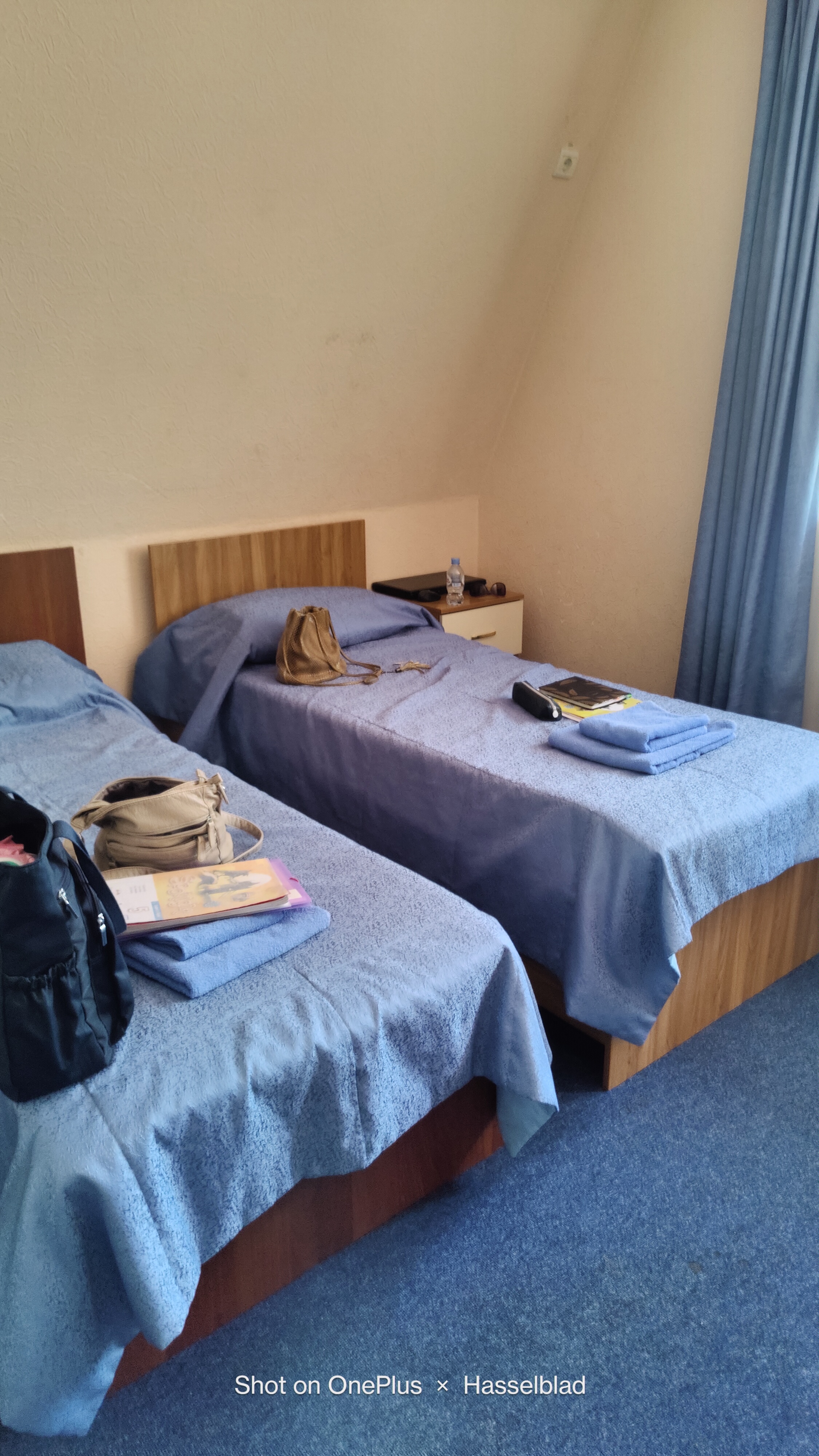 Фото Берёзка