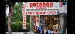 Neselipatiler Petshop (Antalya, Muratpaşa, Sinanoğlu Cad., 23B), tienda de animales