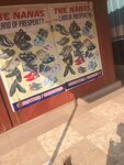 The nanas (Greater Accra Region, Ledzokuku-Krowor Municipal, Nungua, Buade), shoe studio