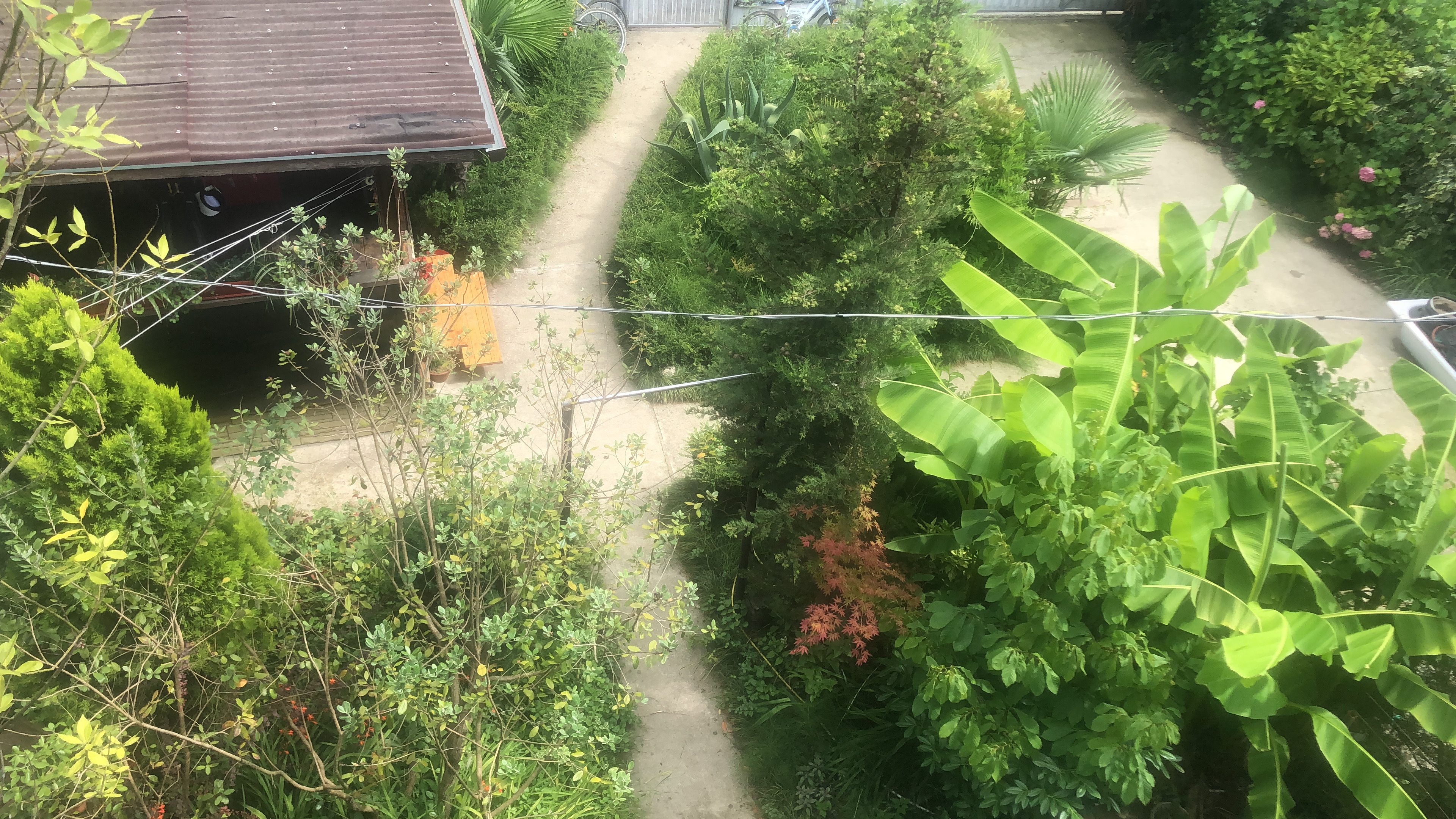 Фото АквариумЛоо