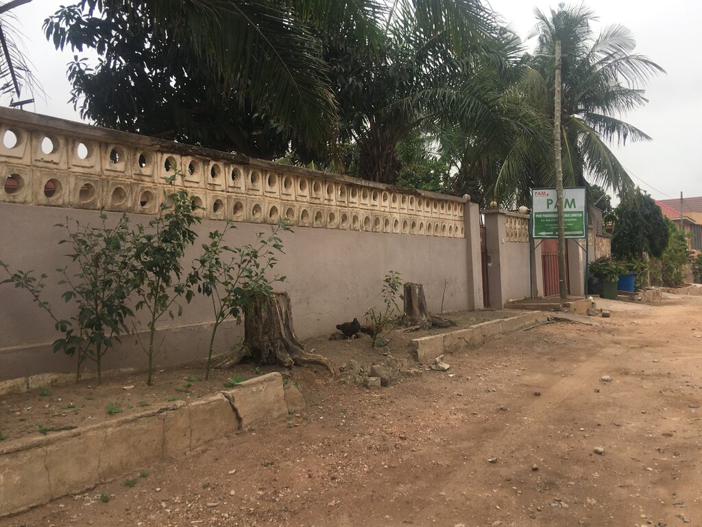 Pharmaceutical company Pam pharmaceuticals Ltd, Earth, photo