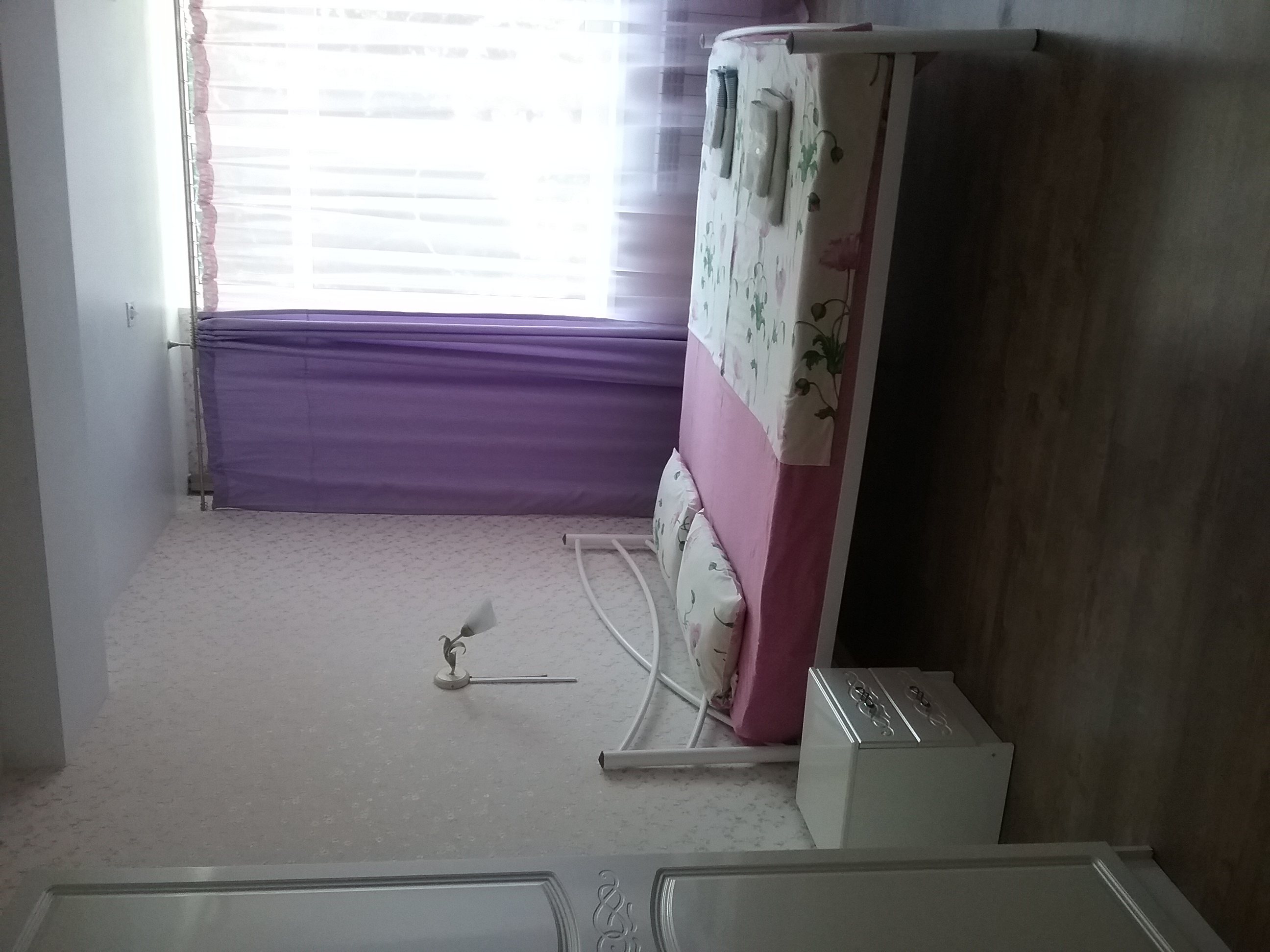 Фото Жар птица