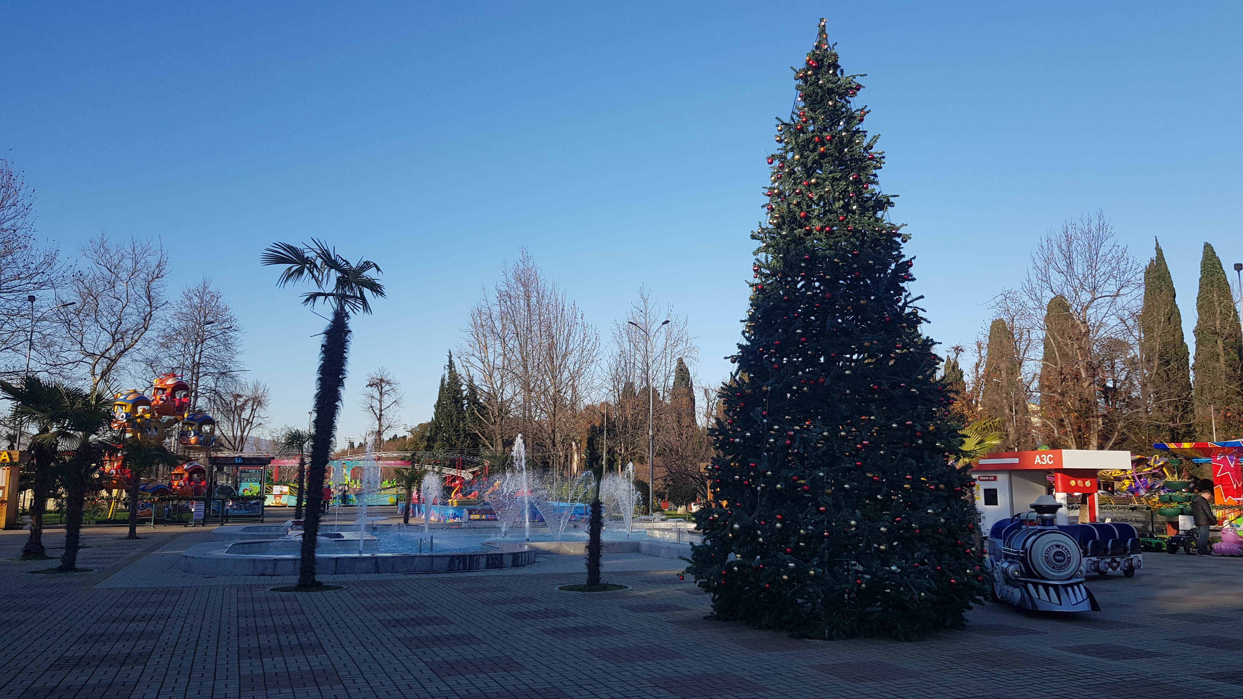 Фото Золотой огонек