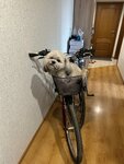 Velo Dream (Vokzalnaya Street, 27Б) ، تصليح الدراجات