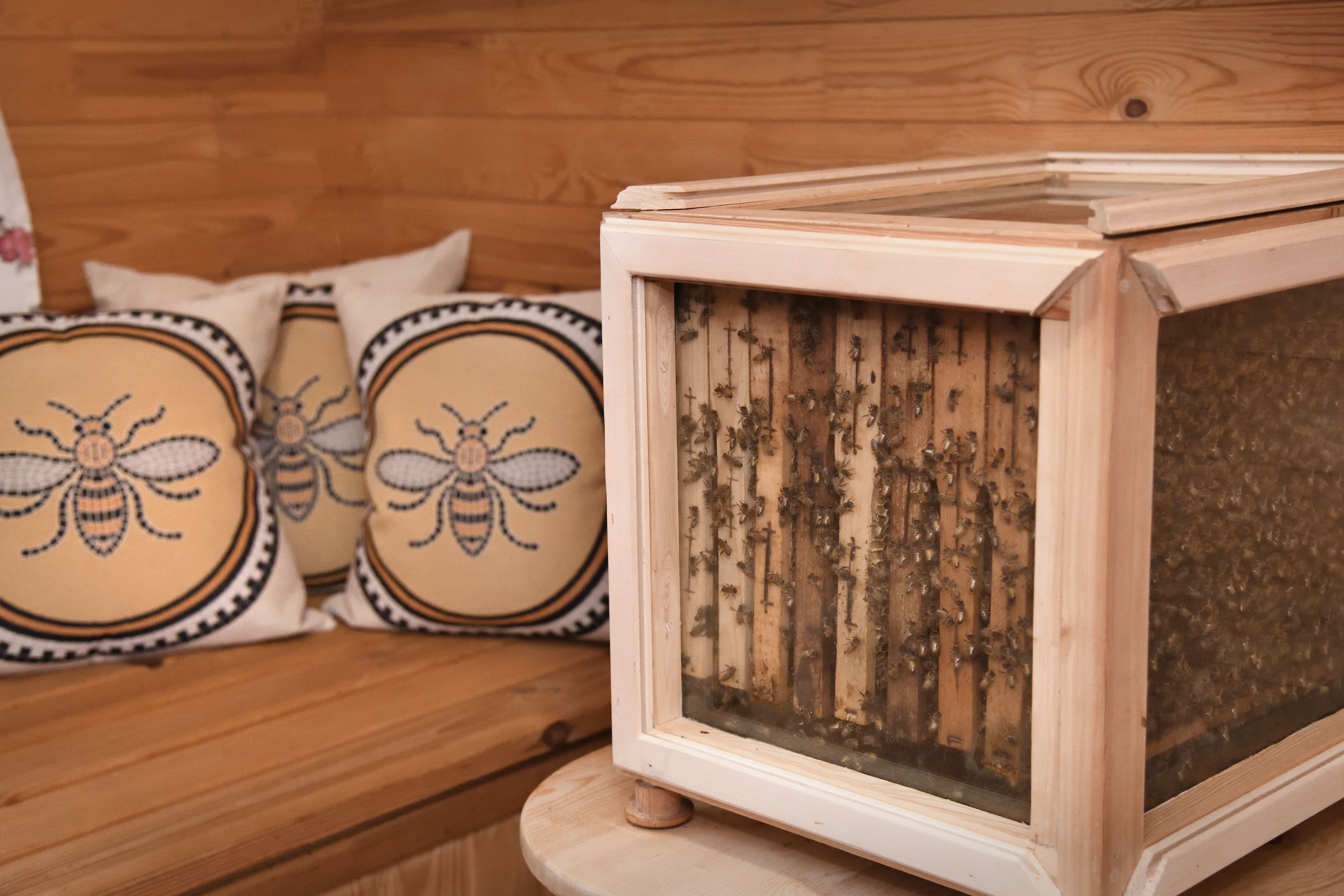 Фото Красный Бор