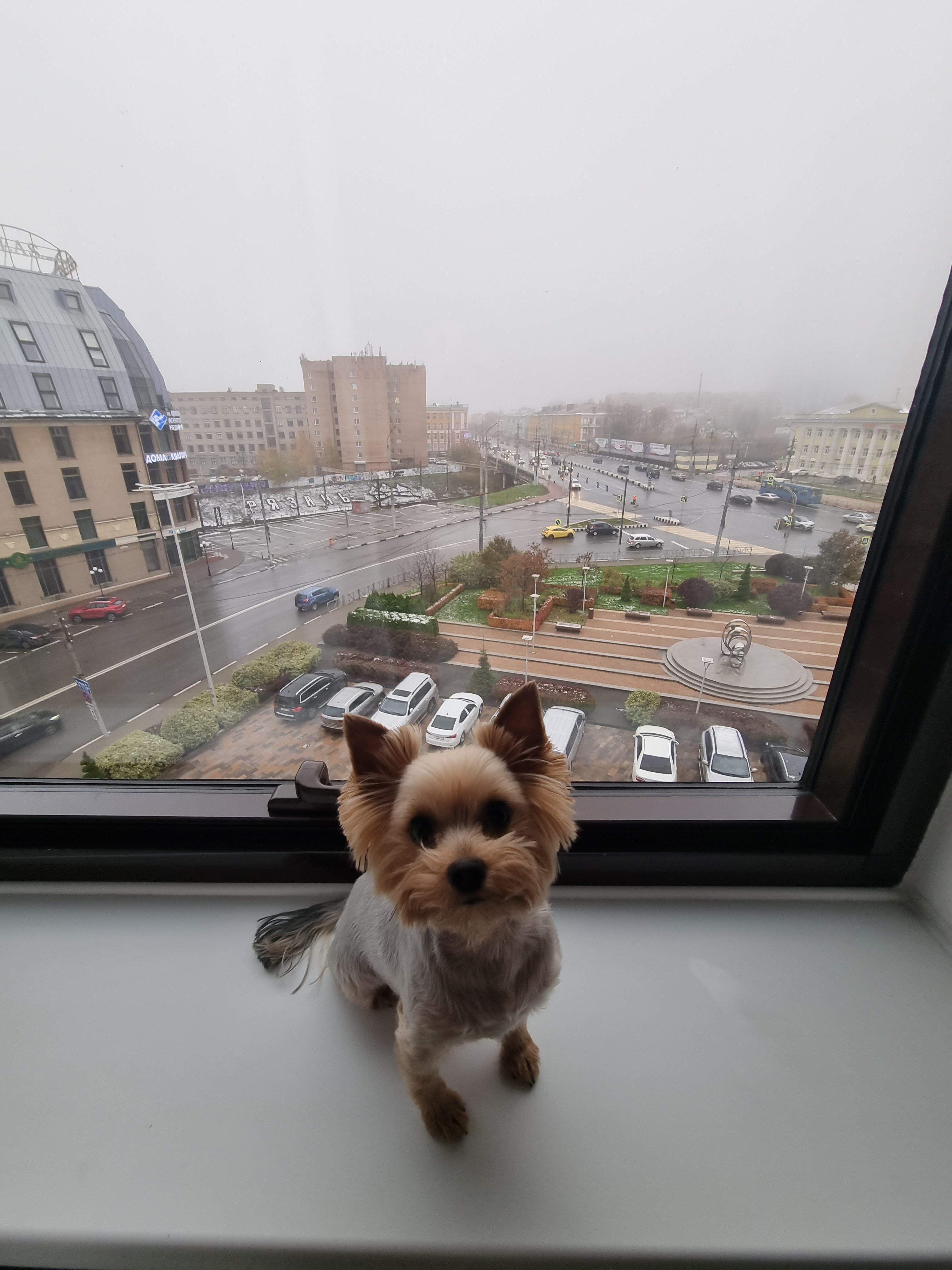 Фото Амакс Конгресс-отель