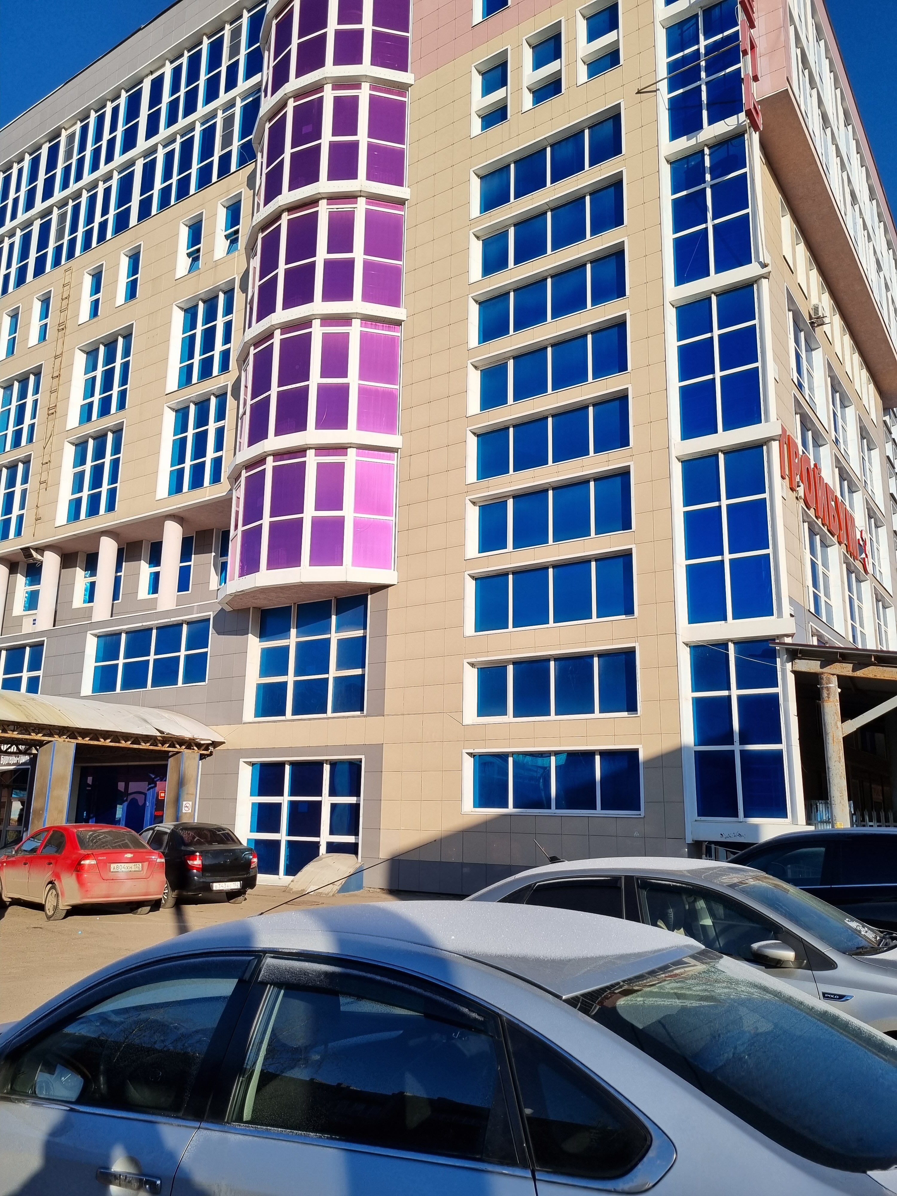 Фото Пантера