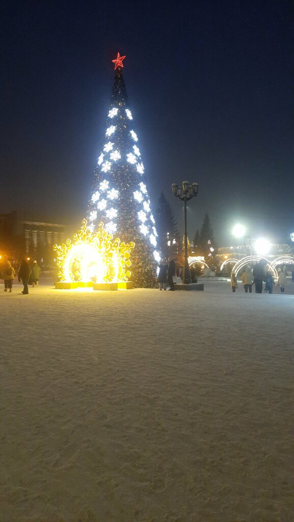 Достопримечательность В. И. Ленин, Новосибирск, фото