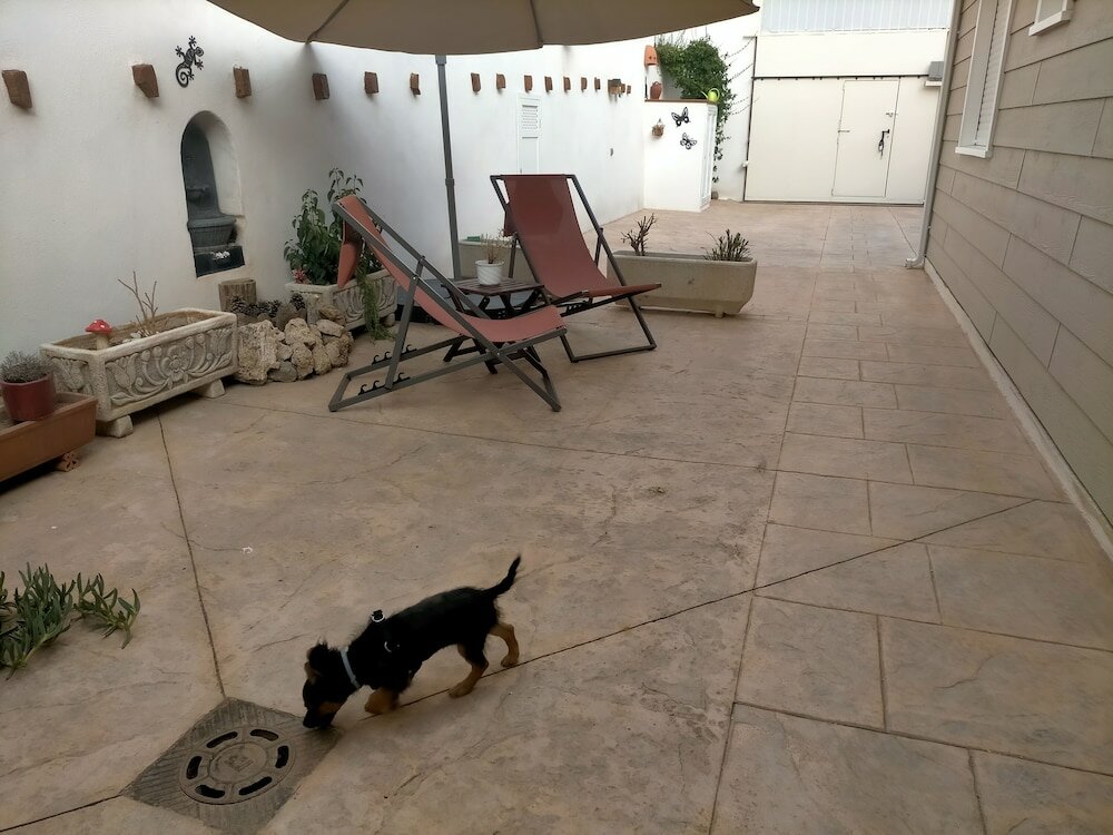 Фото Azafrán Consuegra Casa Rural