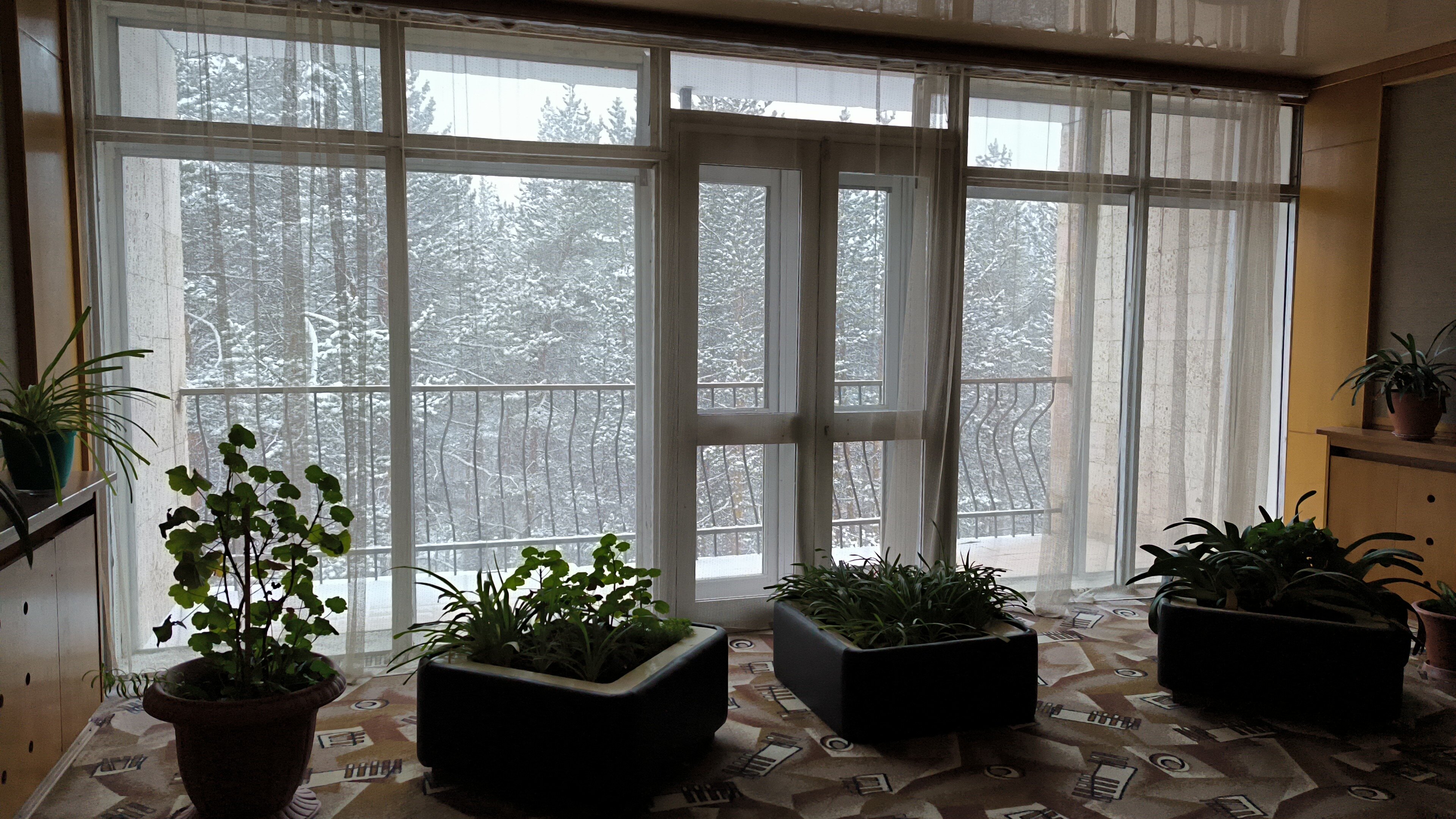 Фото Вольфрам