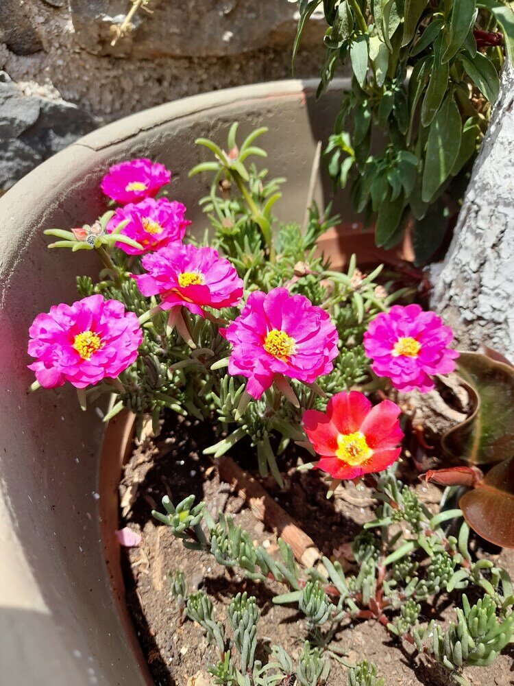 Фото Villa Kastania