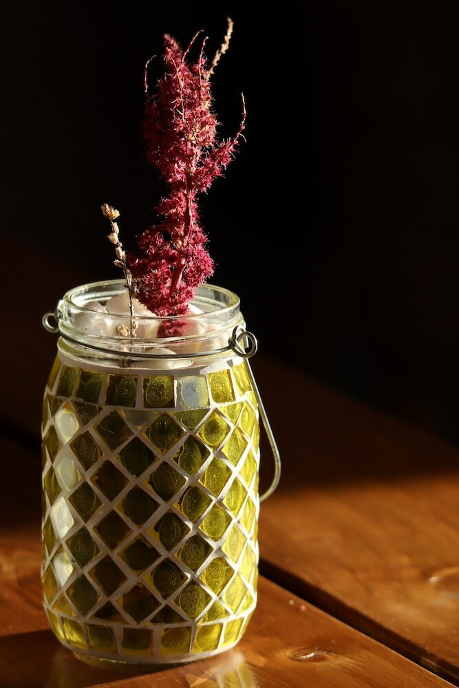 Фото Alpine Lounge Hotel