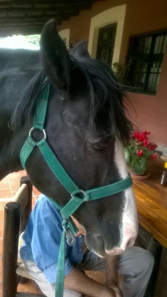 Фото Casona Rural de Maipu