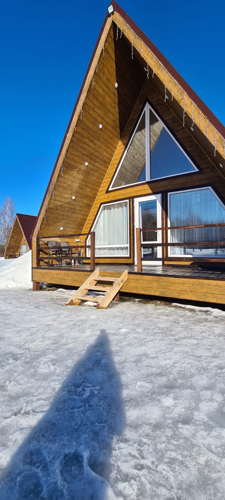 Фото Волшебный лес