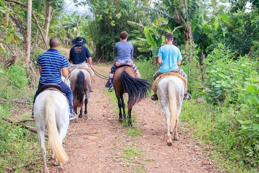 Фото Pousada Chalés Vale do Rio do Boi