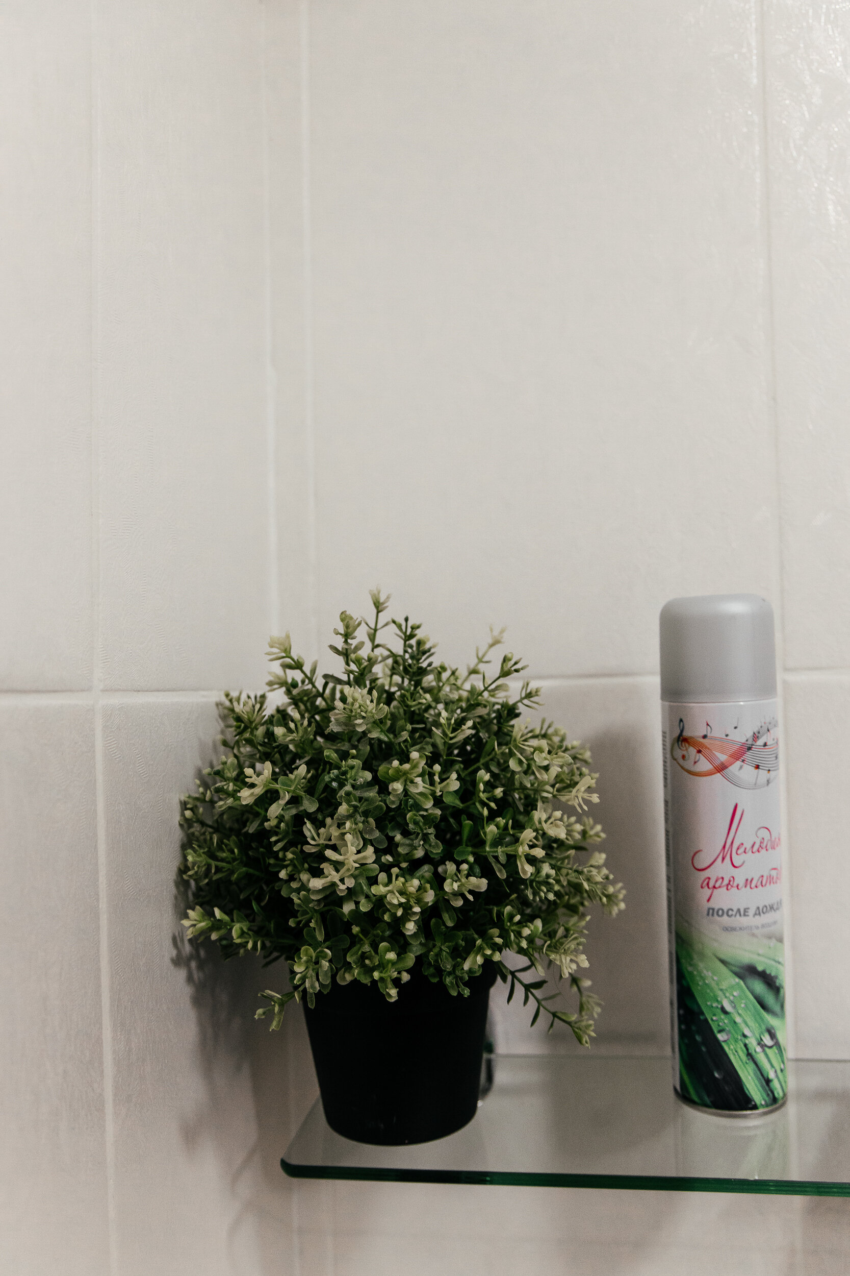 Фото Авангард