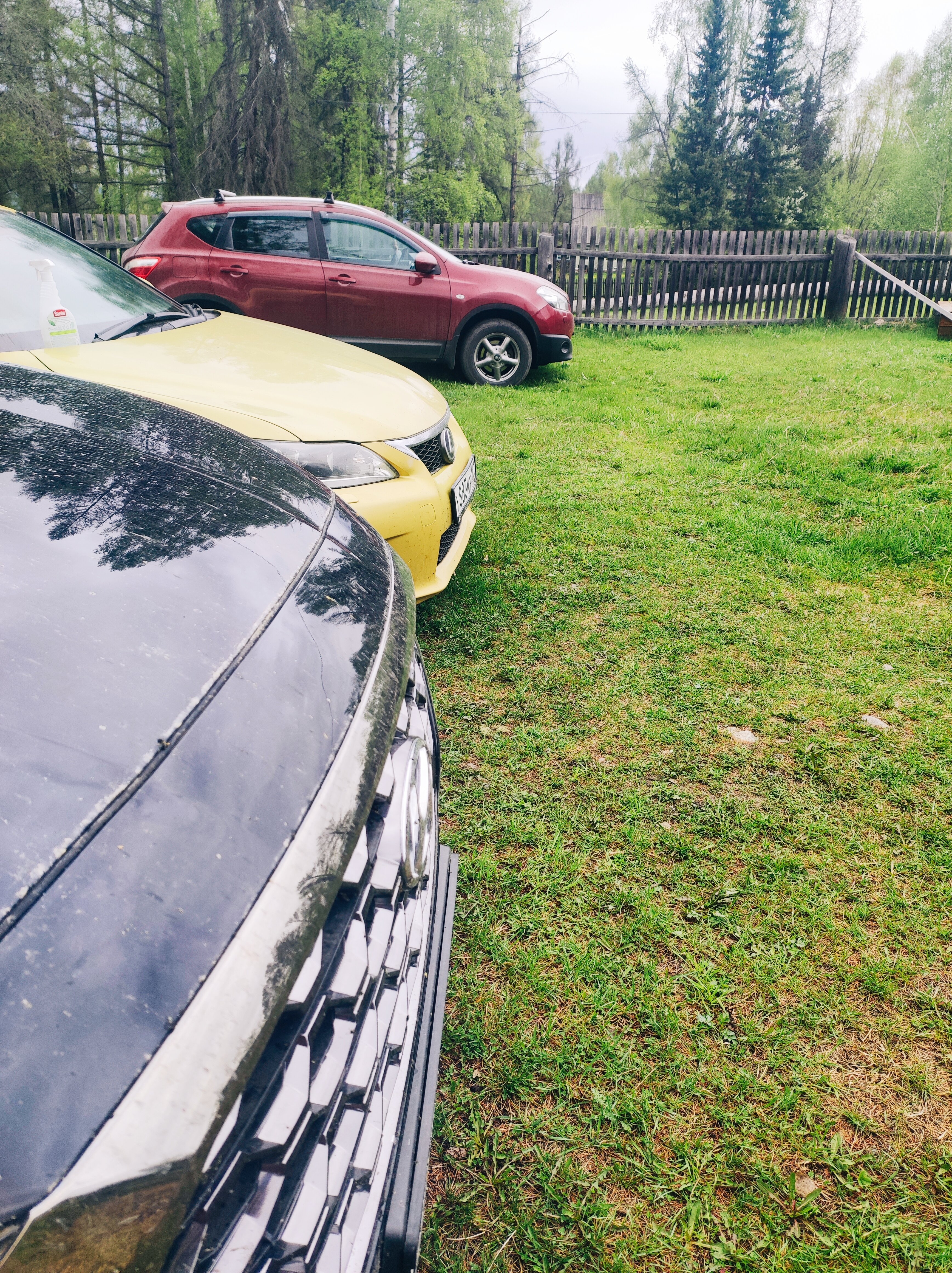 Фото Мультинское раздолье