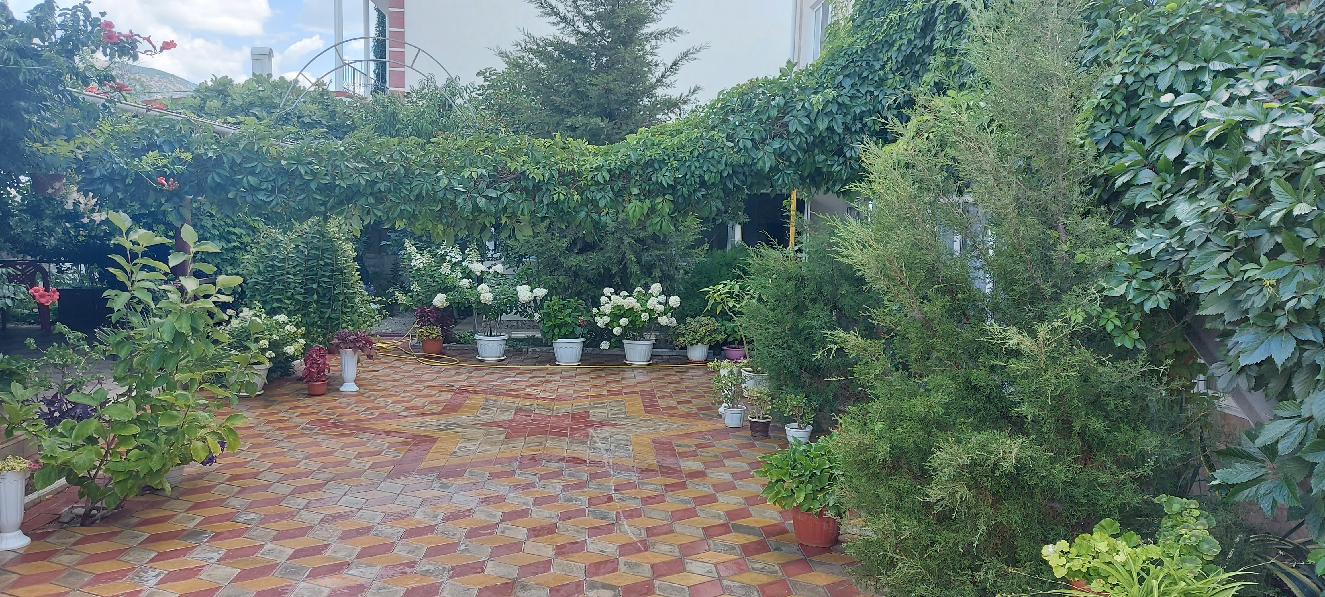 Фото Гостевой дом Виктория