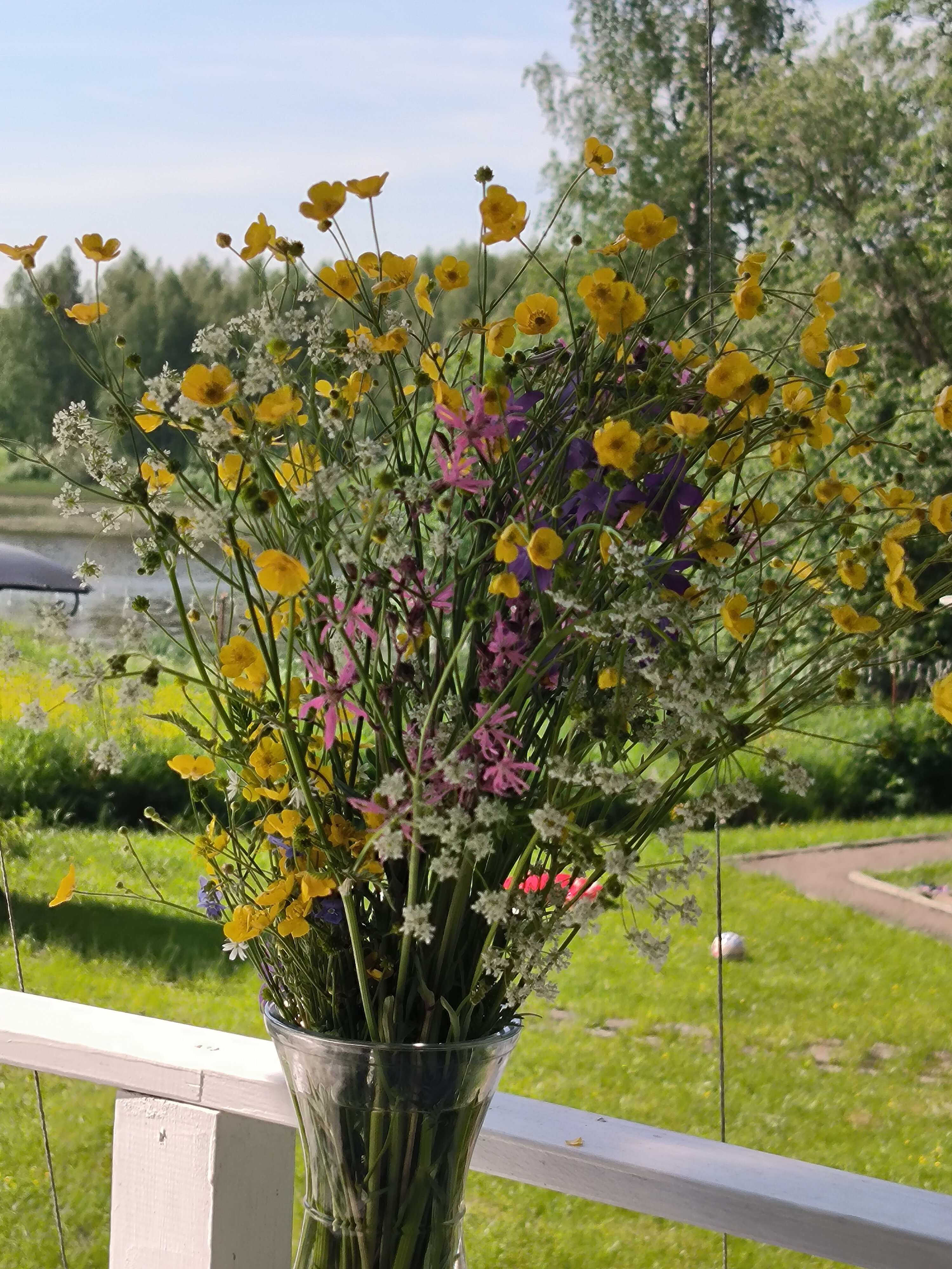 Фото Прованс