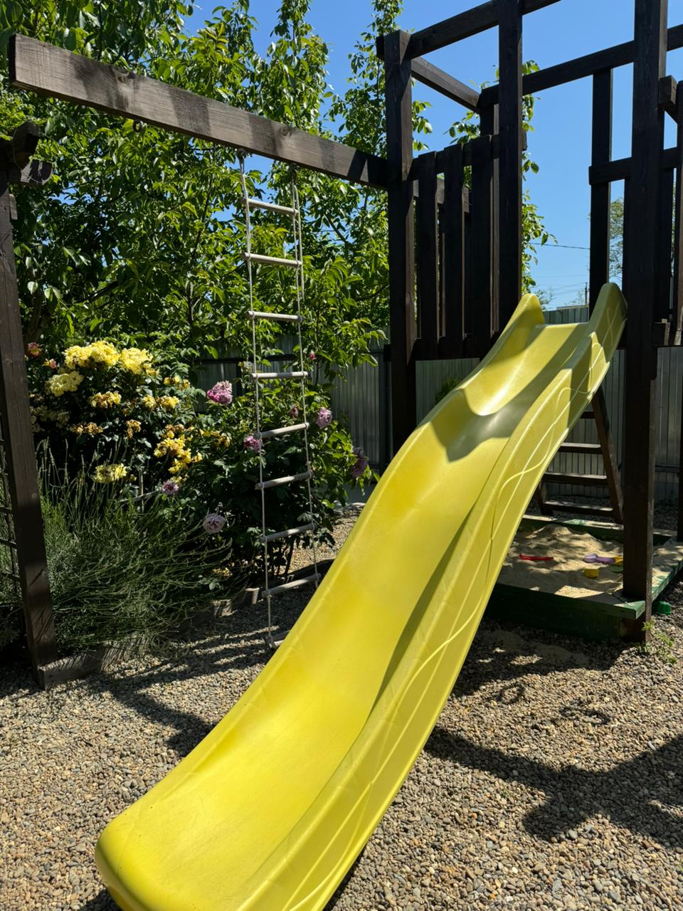 Фото Гранд Камелия