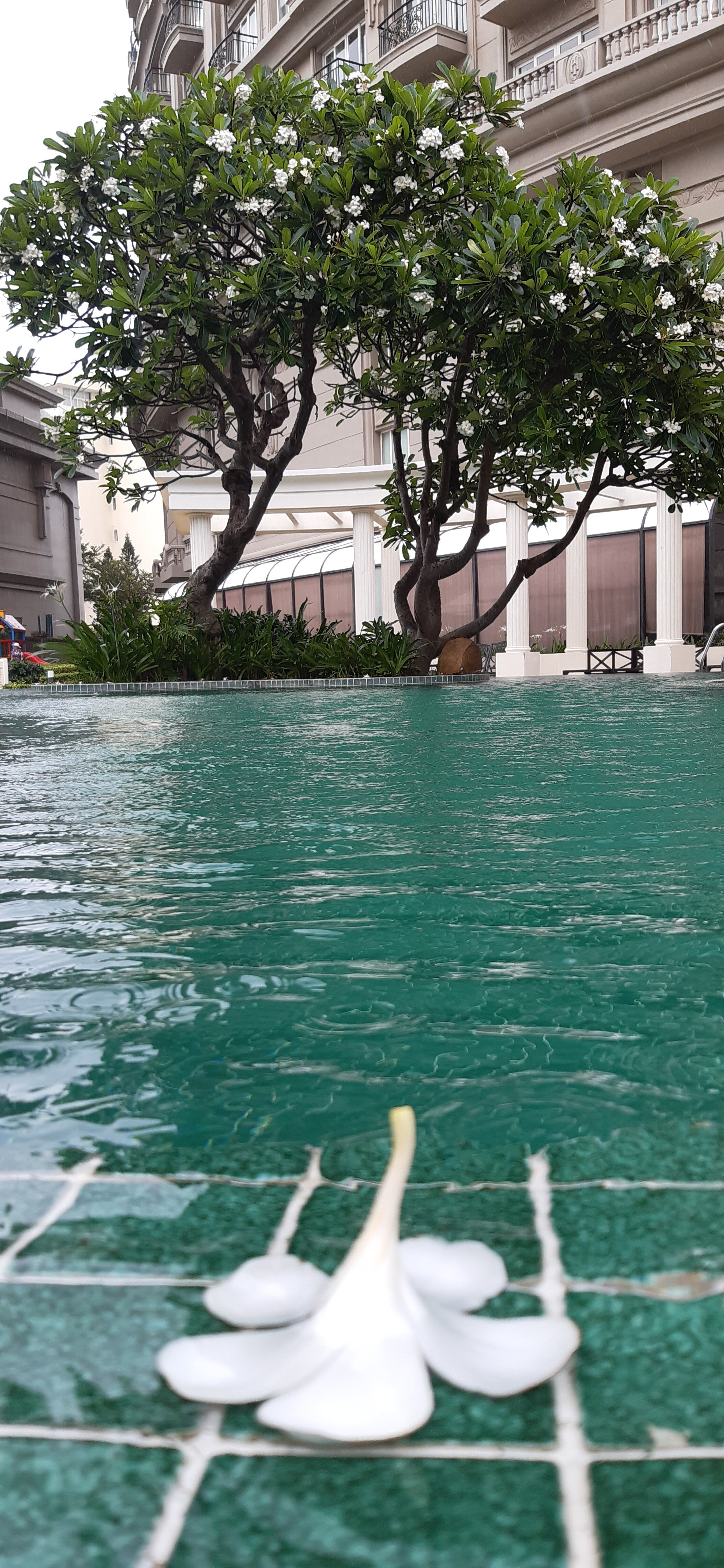 Фото The Imperial Hotel Vung Tau