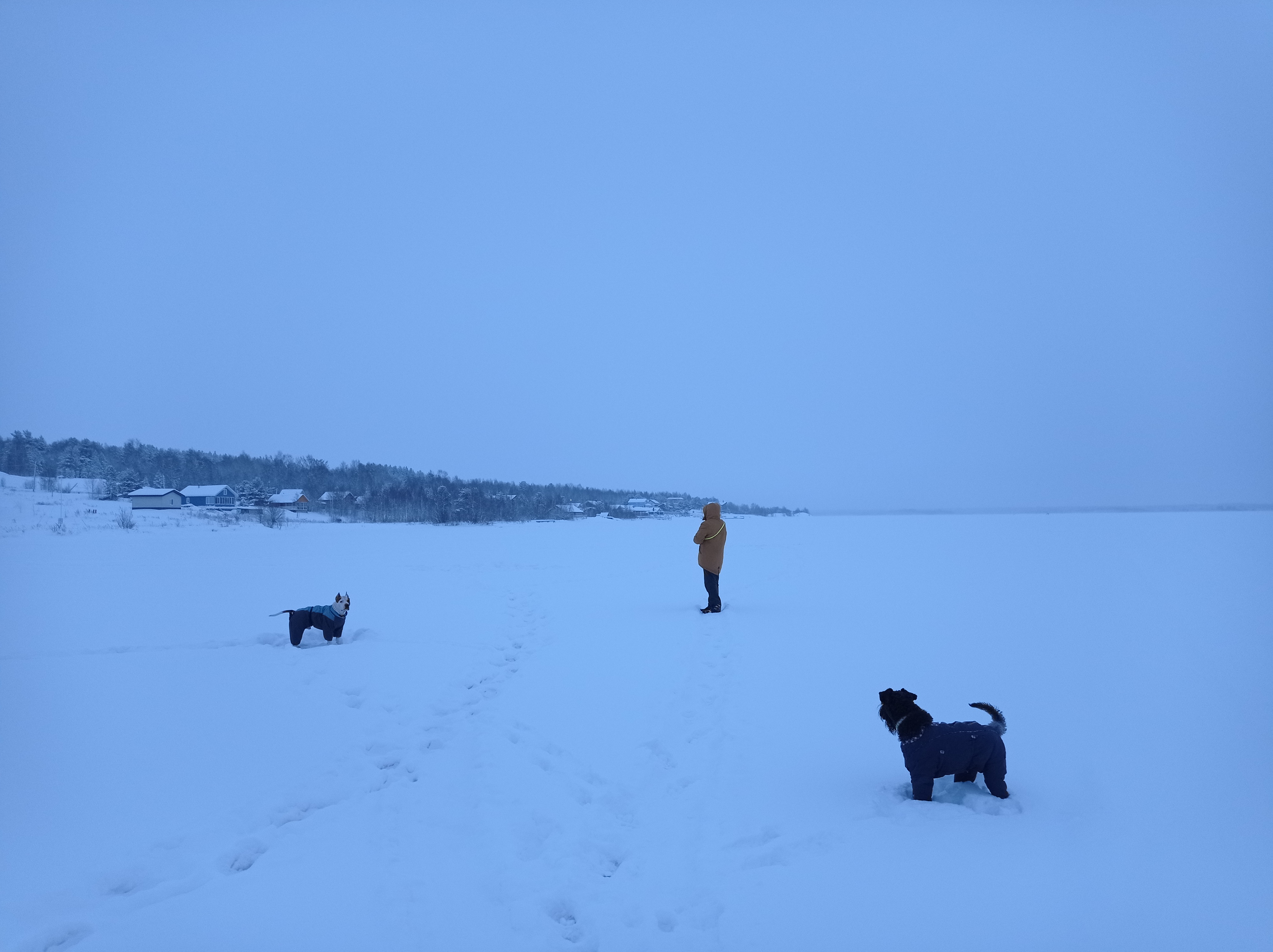 Фото У плотника