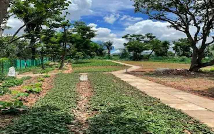 Фото Cooliv Waterfront