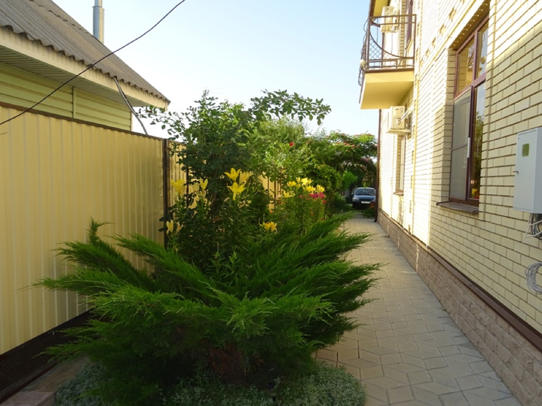 Фото Дольче вита