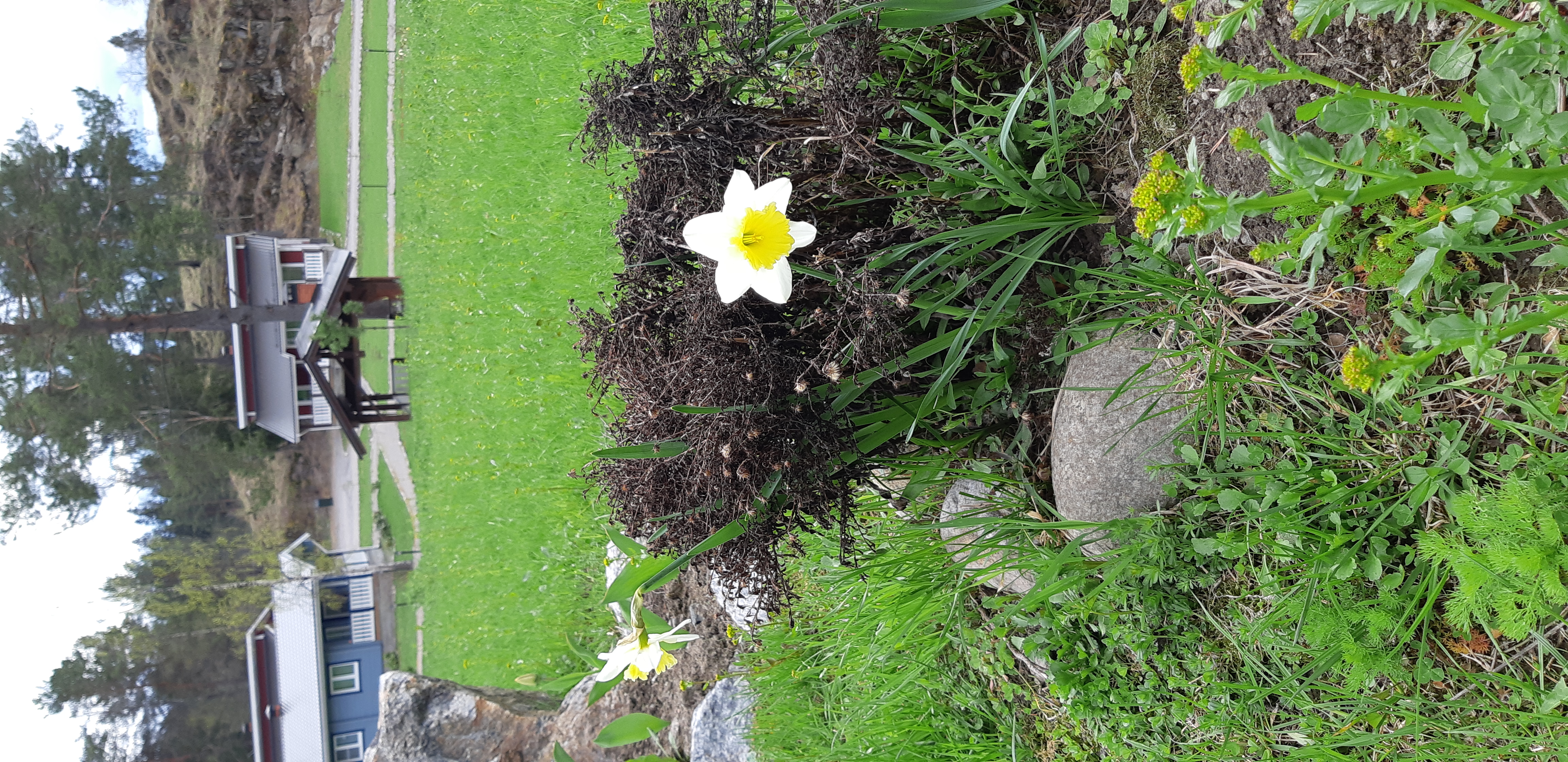 Фото Липпола