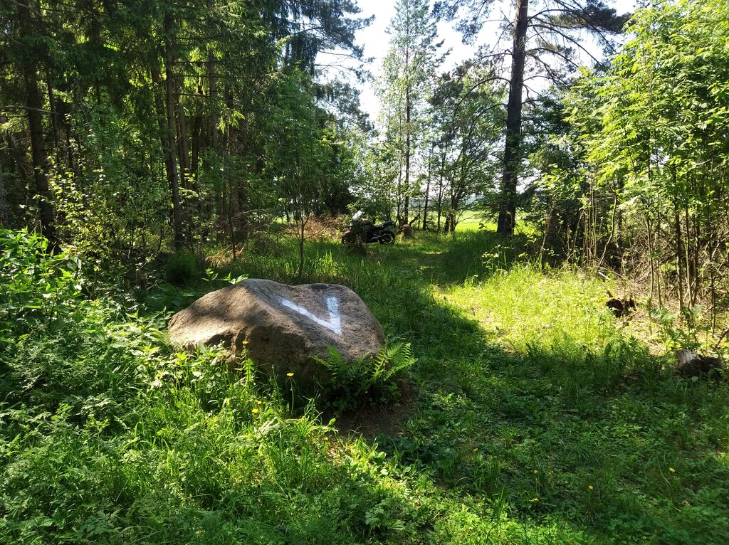 Memorial site, local landmark Камень, над которым был развеян прах Лили Брик, Moscow and Moscow Oblast, photo
