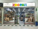 Zooray (Alebashevskaya Street, 19), pet shop