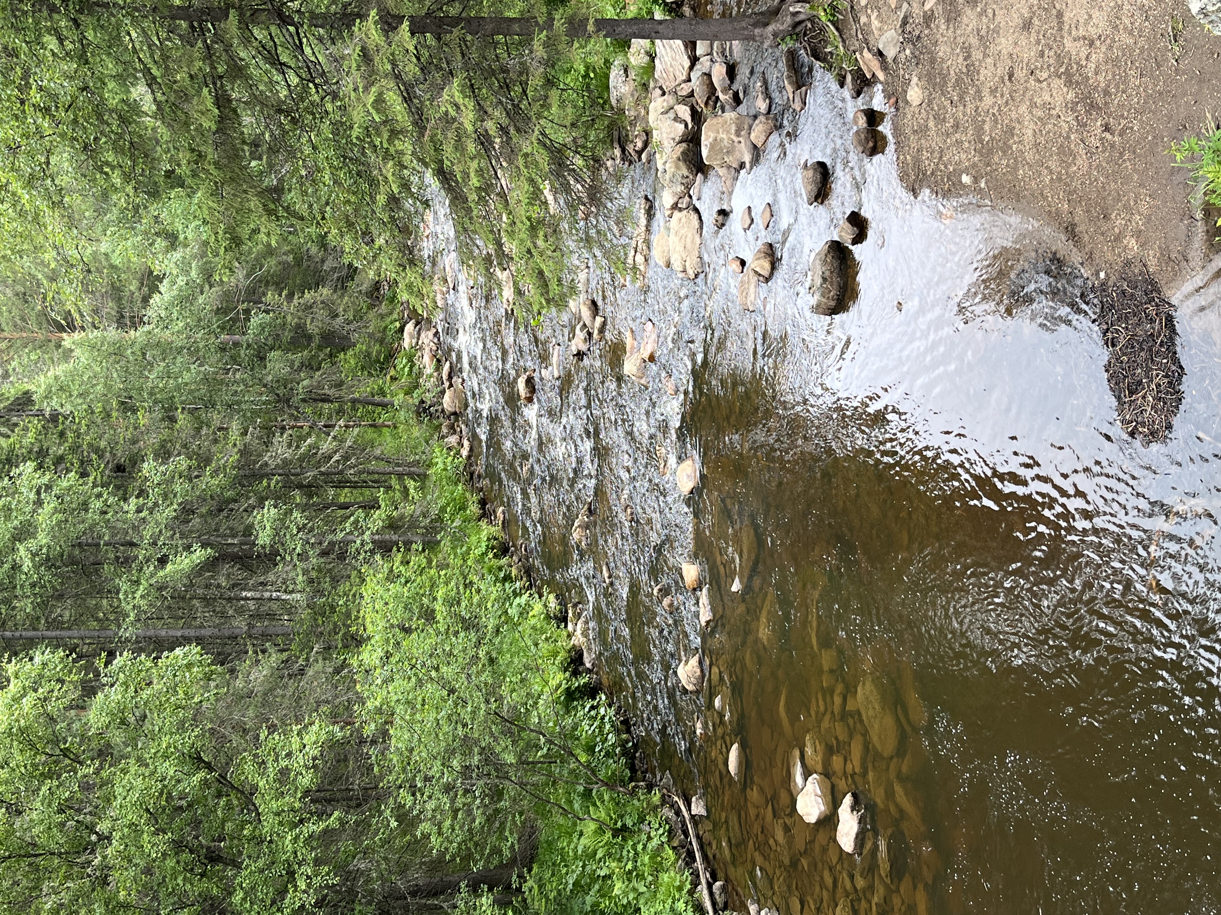 Фото Иремель Роза Ветров