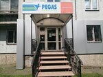 Pegas Touristik (Kopylova Street, 70), travel agency