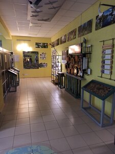Экспозиция Природа Вуоксы - от Саймы до Ладоги (posyolok Petrovskoye, Shosseynaya ulitsa, 12), museum