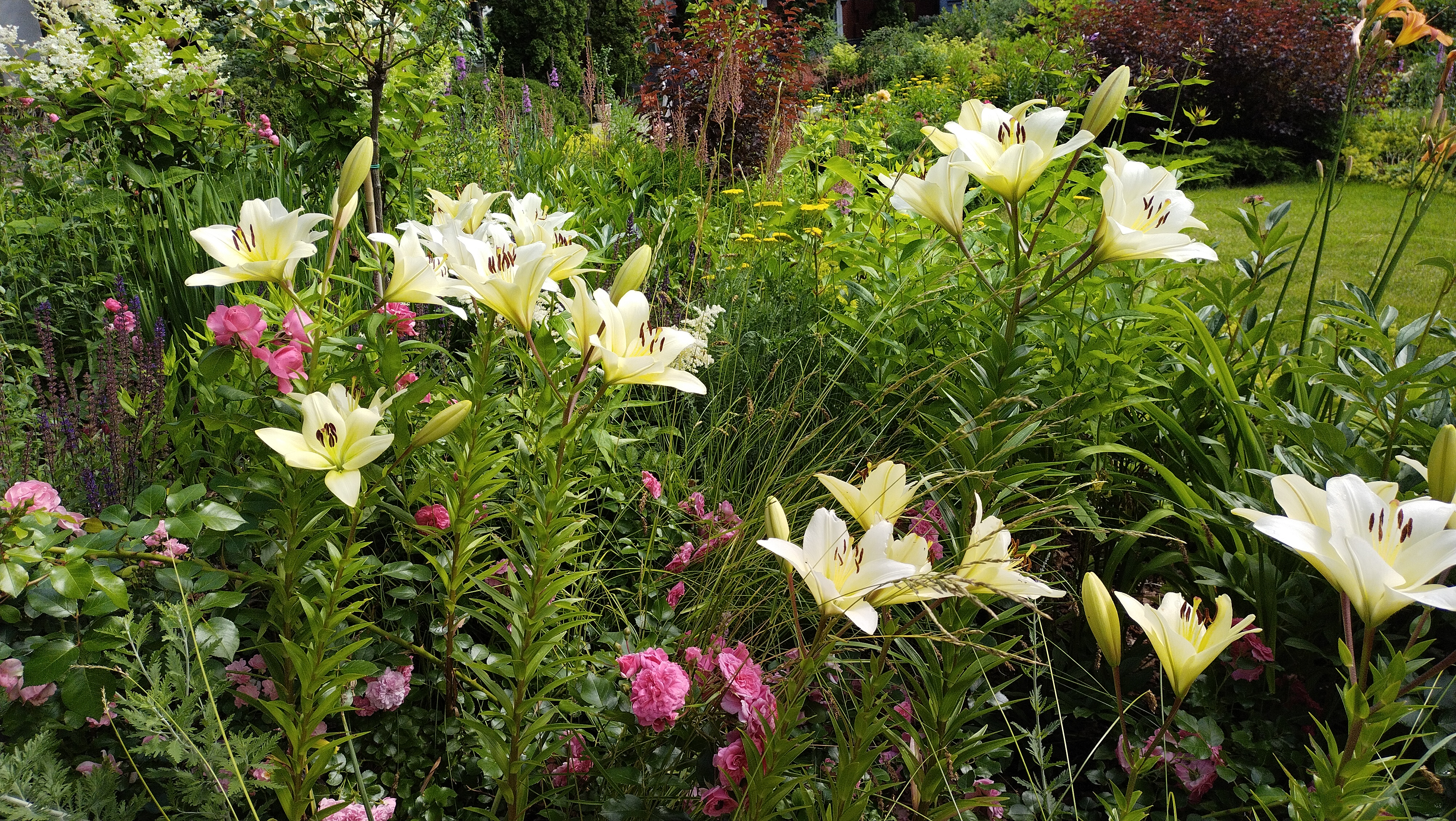 Фото Лукоморье